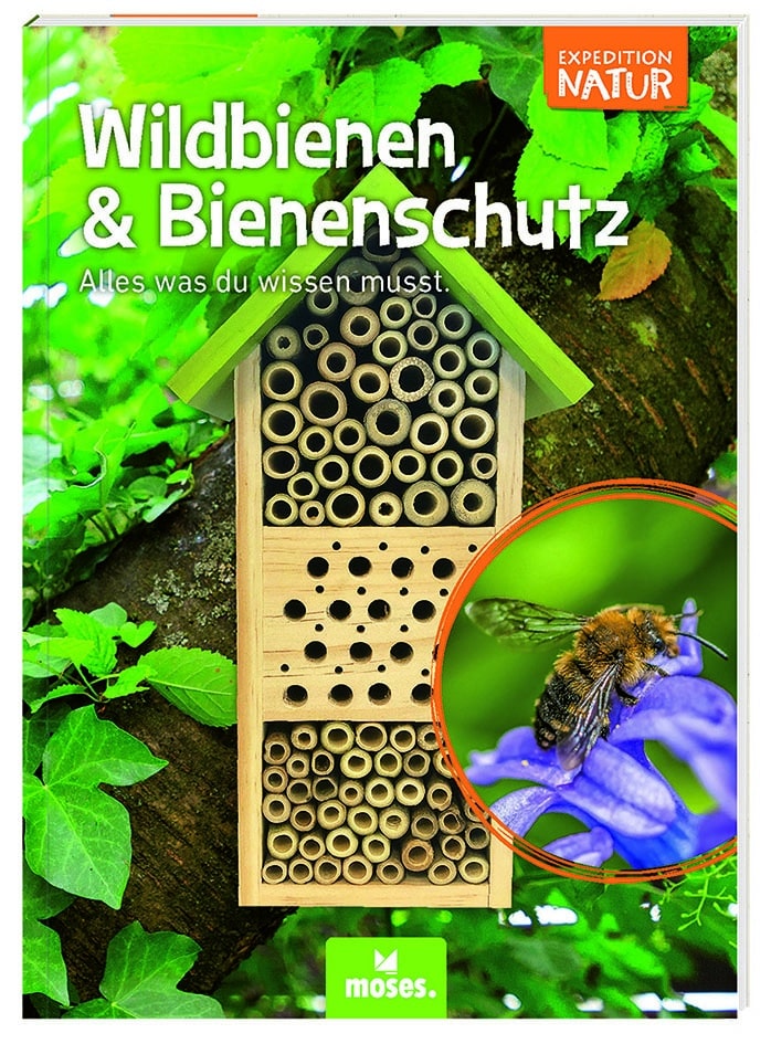 Wildbienen Hotel – Bild 3