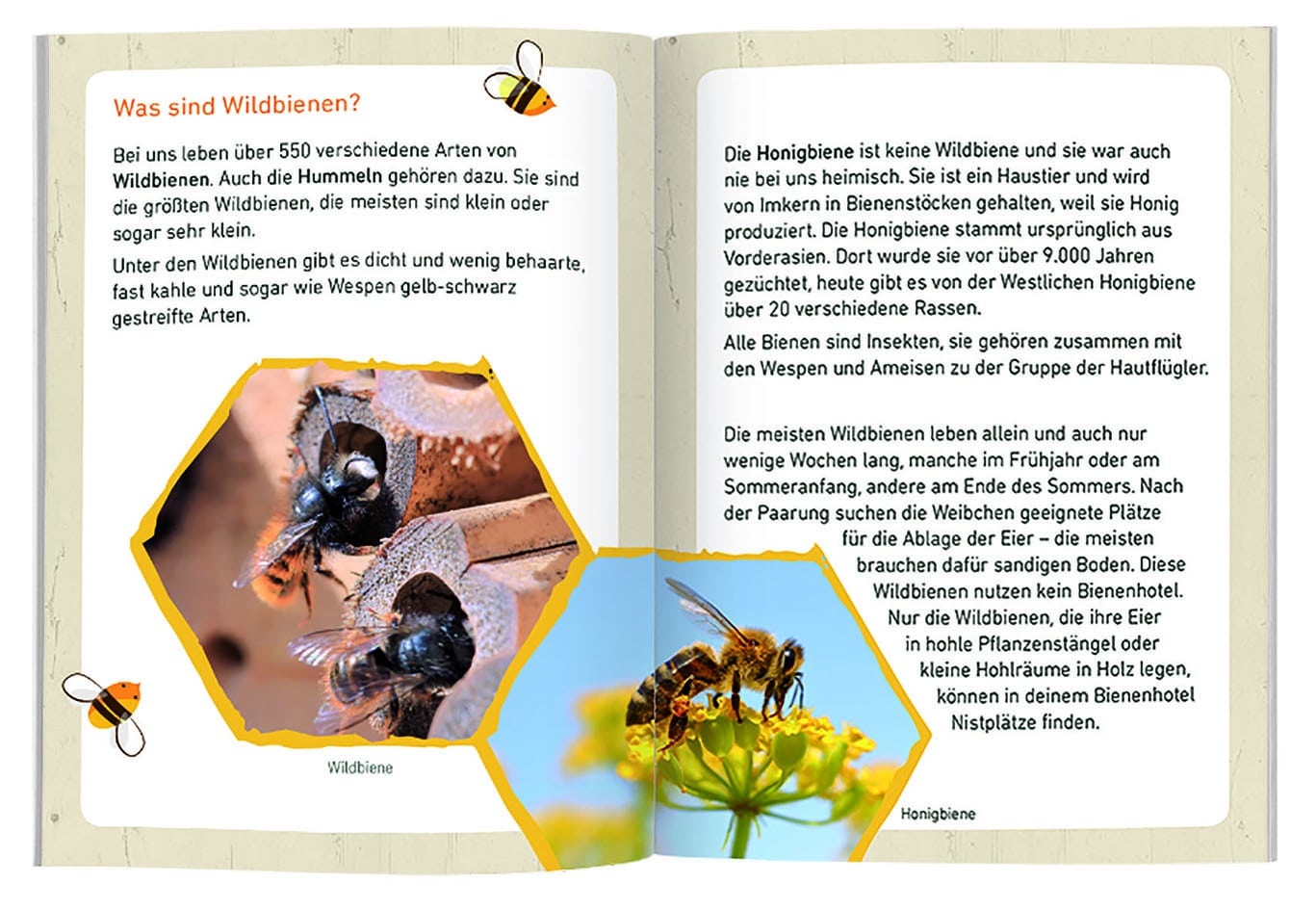 Wildbienen Hotel – Bild 4