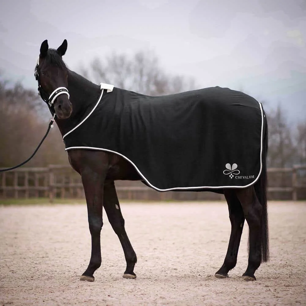 Führanlagendecke Schwarz Silber – Bild 4