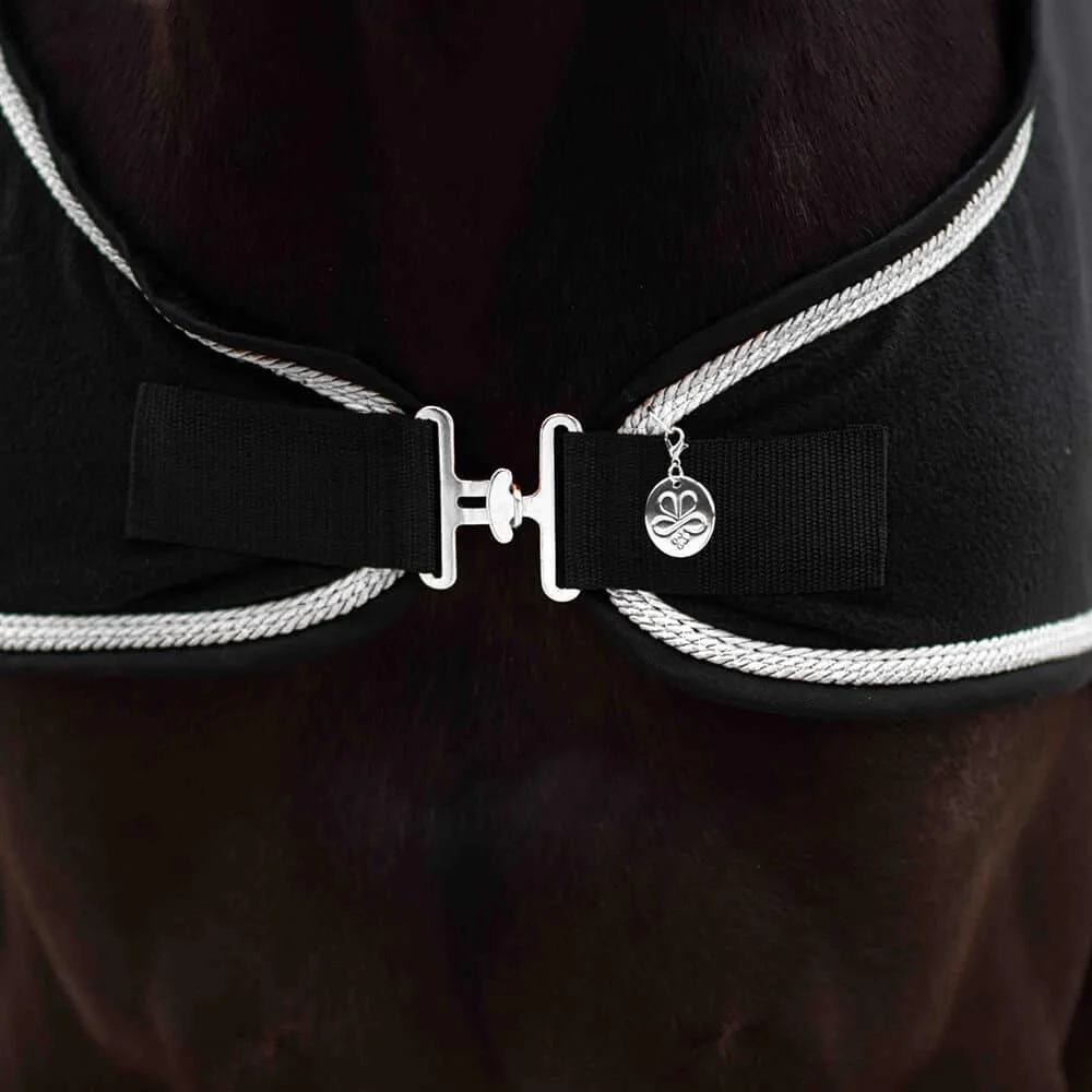 Führanlagendecke Schwarz Silber – Bild 3