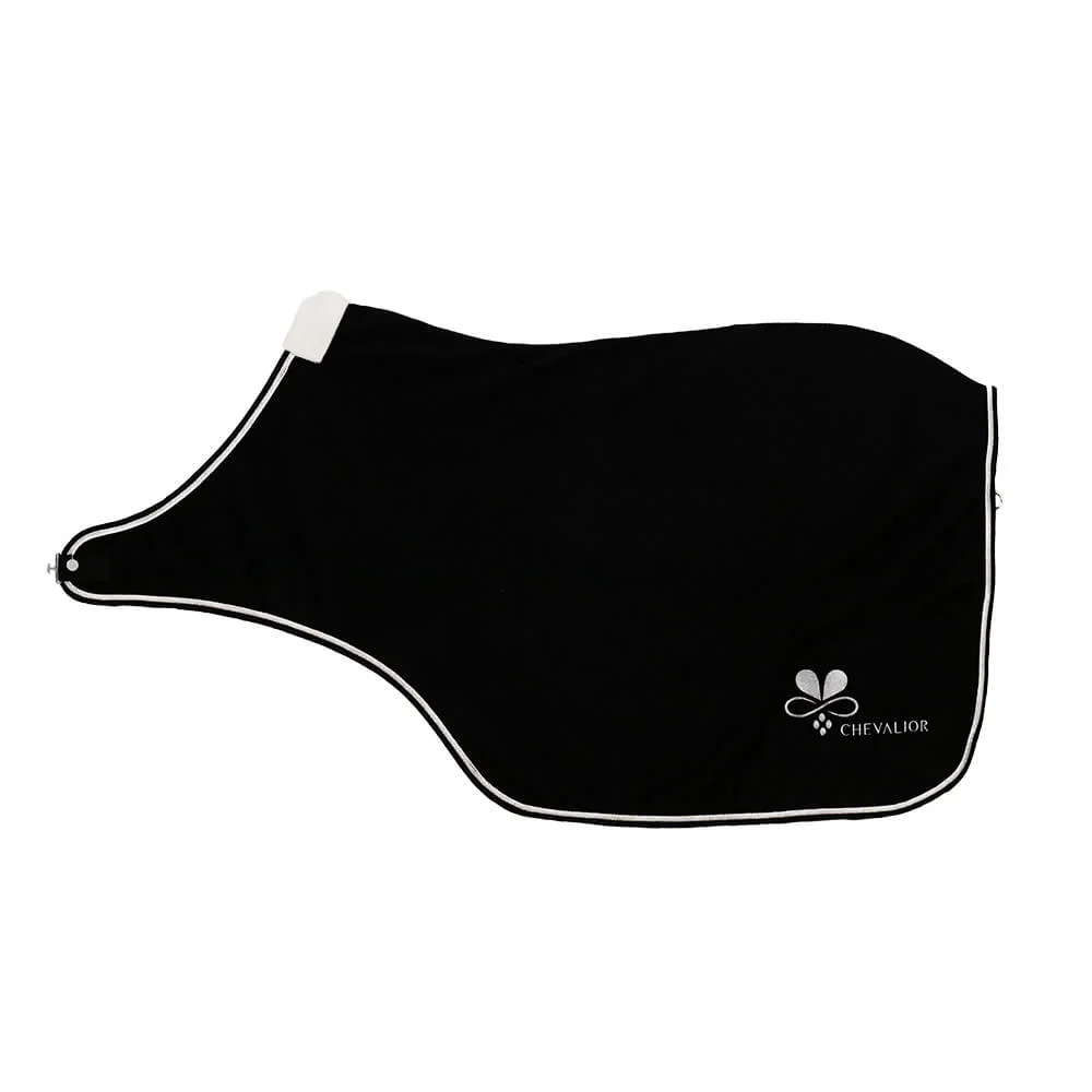 Führanlagendecke Schwarz Silber