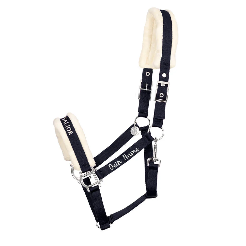 Nachhaltiges Halfter Schwarz Silber