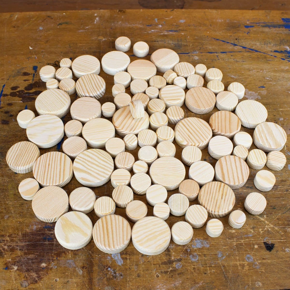 Fichtenholzscheiben – Bild 2